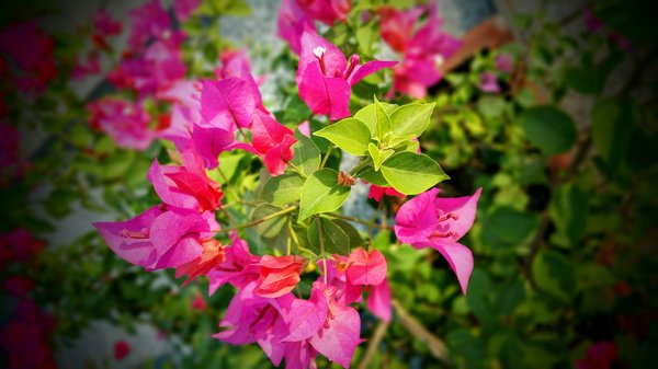 Maximisez votre confort : Transformez votre maison avec une isolation efficace pour des économies assurées